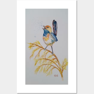 Blue Wren, bird design, bird art Posters and Art